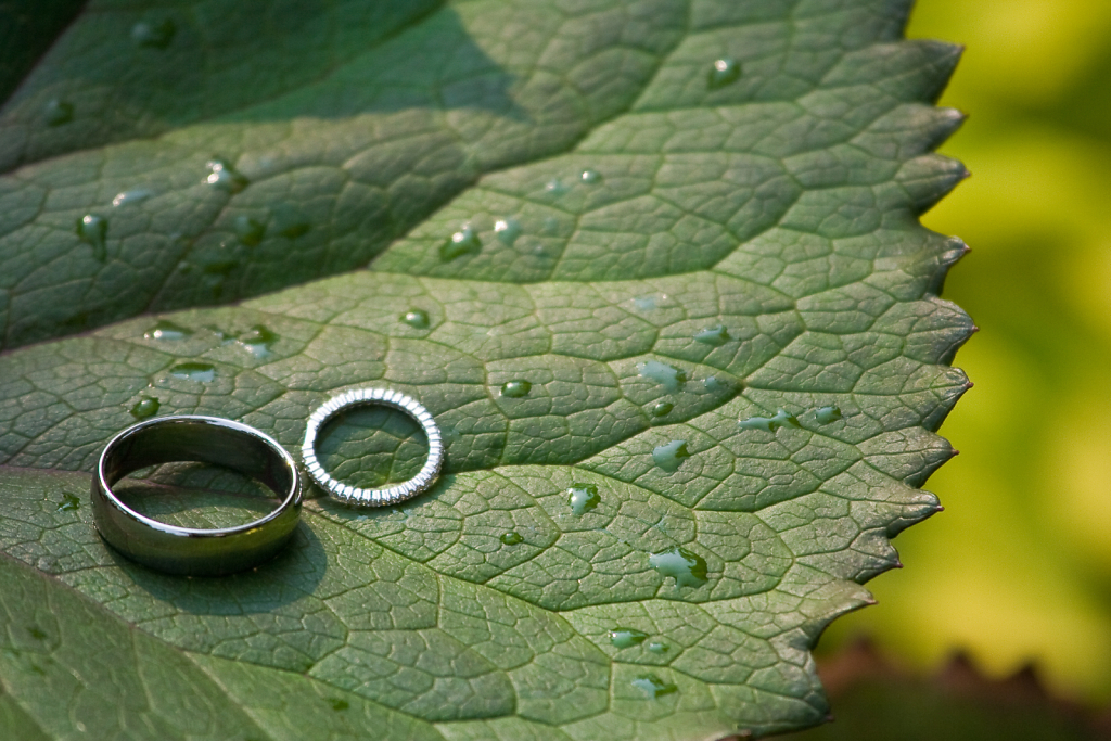 Rings ⋅ Wedding, New York City ⋅ 2007