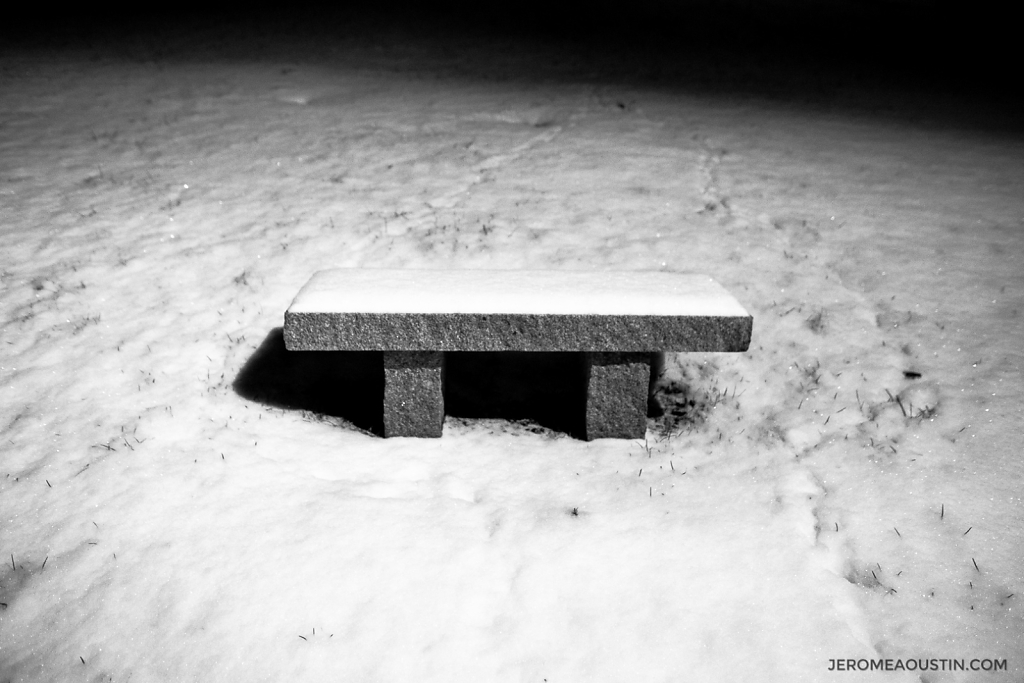 The Bench ⋅ Fleetwood, NY ⋅ 2010